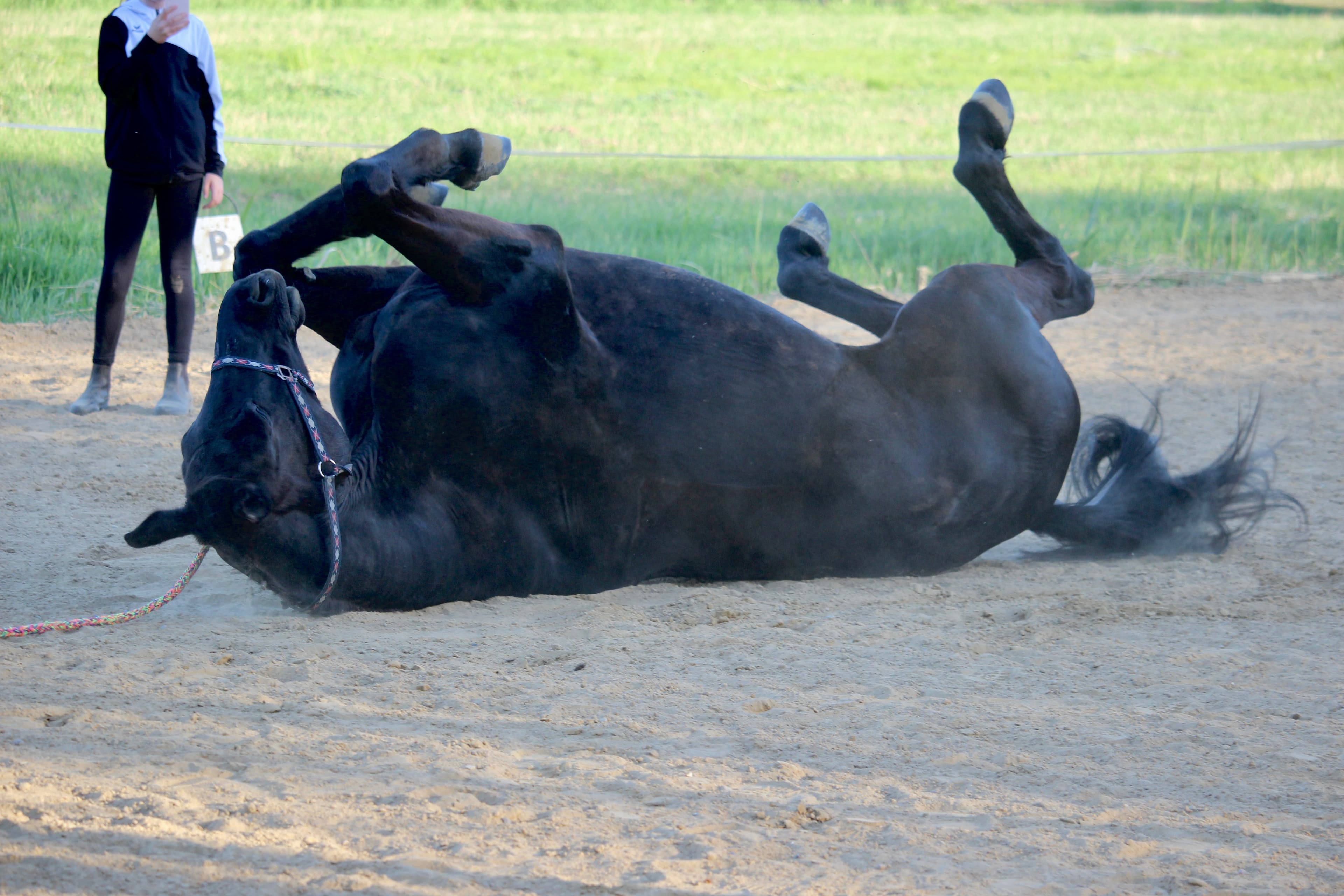Enjoy – Bild 2