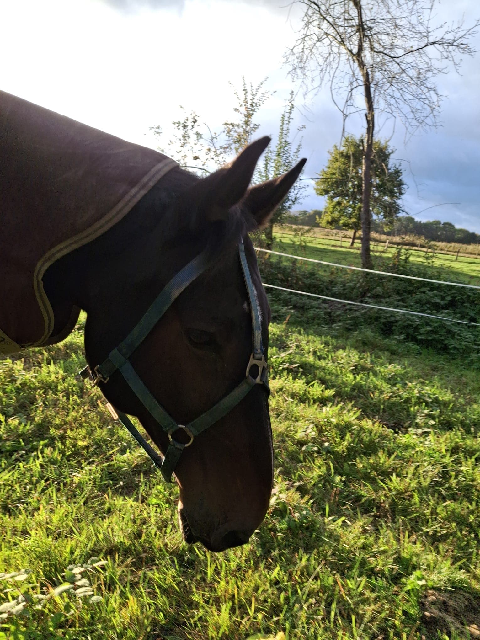 Fritz – Bild 4