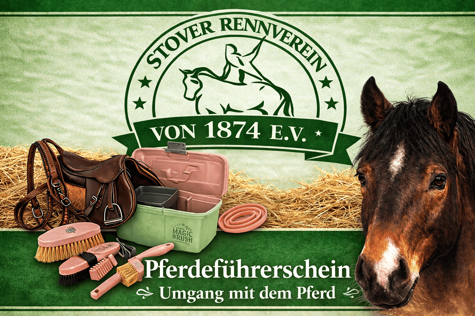 Pferdeführerschein Umgang